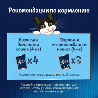 Felix Корм влажный для кошек Природа вкуса с говядиной в соусе 75 гр
