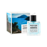 Vinci Туалетная вода Maxx Man Aquatic 100 мл