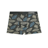 GreenTime Трусы мужские Шорты X5318 Листья размер 50 (2XL) в ассортименте