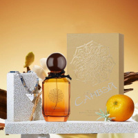 Maison Z Terra парфюмерная вода 100мл 1шт edp / 24шт / ZMZ0008 / 888962