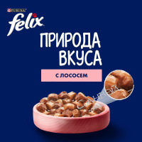 Felix Корм влажный для кошек Природа вкуса с лососем в соусе 75 гр