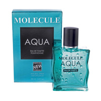 XXI Century Туалетная вода Molecule Aqua 100 мл