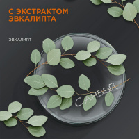 Шаума Men Шампунь для волос и тела Энергия спорта 360 мл