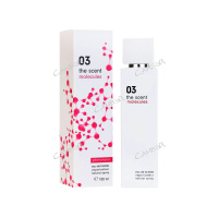 Vinci Туалетная вода The Scent Molecules 03 100 мл