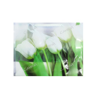 GreenTime Пакет подарочный Тюльпаны Зелено-голубой 27x21x11 см