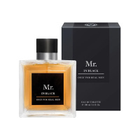 Christine Lavoisier Туалетная вода Mr. In Black 100 мл