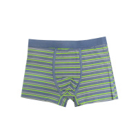 GreenTime Трусы мужские Шорты Полоска размер 2XL в ассортименте