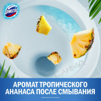 Доместос Гель для чистки универсальный Антиналет+блеск Сила тропиков 750 мл