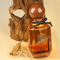 Maison Z Terra парфюмерная вода 100мл 1шт edp / 24шт / ZMZ0008 / 888962