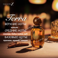 Maison Z Terra парфюмерная вода 100мл 1шт edp / 24шт / ZMZ0008 / 888962