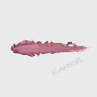 Vivienne Sabo Карандаш для губ Le Grand Volume тон 03 Холодный нюд 1,35 г