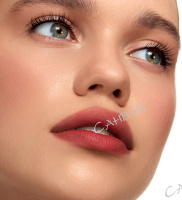 Luxvisage Тинт для губ Lip tint Aqua Gel с гиалуроновым комплексом тон 04 rosewood 3,4 мл