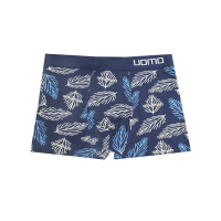 GreenTime Трусы мужские Шорты X5318 Листья размер 46 (L) в ассортименте