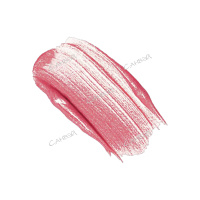 Monic Beauty Блеск для губ с сияющим эффектом No Limit! тон 12 Bright Rose 6 мл