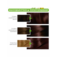 Garnier Крем-краска для волос Color Naturals тон 4.15 Морозный каштан 155 г