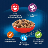 Felix Корм сухой для кошек Двойная вкуснятина с мясом 200 гр