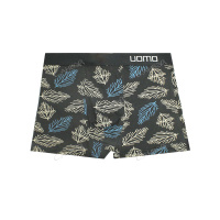 GreenTime Трусы мужские Шорты X5318 Листья размер 48 (XL) в ассортименте