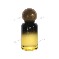 Maison Z Saturne парфюмерная вода 100мл 1шт edp / 24шт / ZMZ0020 / 889082