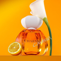 Maison Z Charms парфюмерная вода жен 100мл 1шт edp / 24шт / ZMZ0006 / 888948