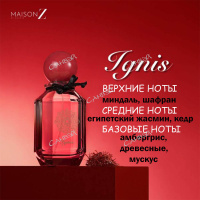 Maison Z Ignis парфюмерная вода 100мл 1шт edp / 24шт / ZMZ0010 / 888986