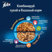 Felix Корм влажный для кошек Природа вкуса с говядиной в соусе 75 гр
